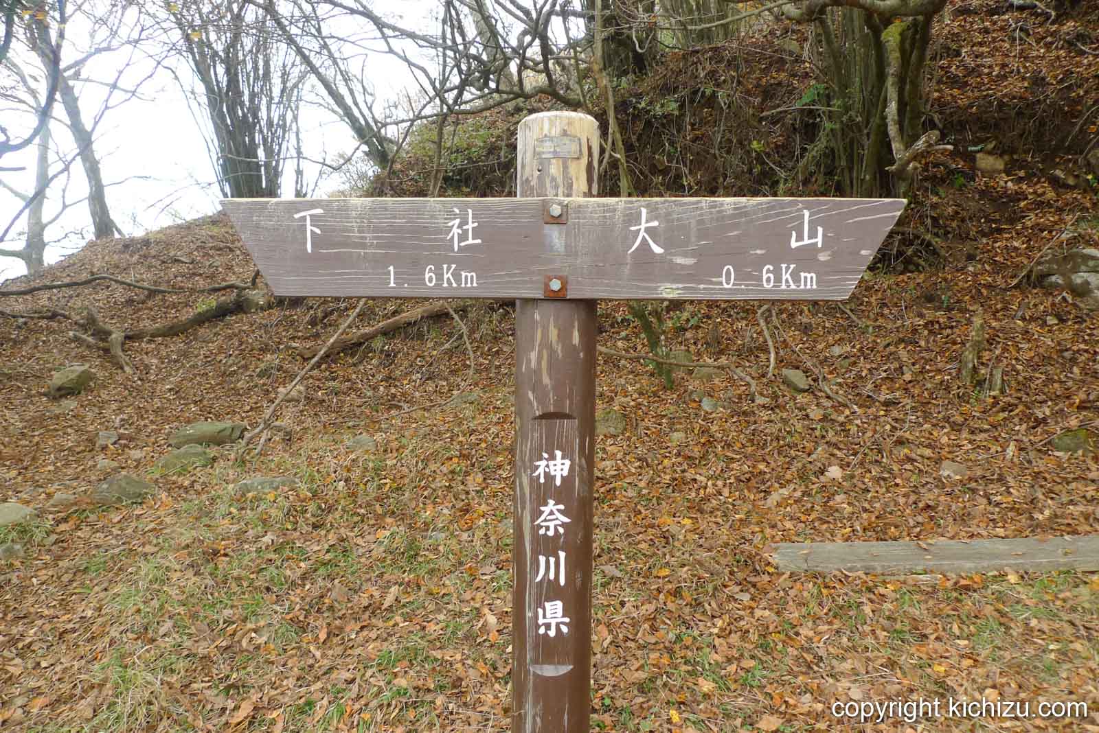 大山標識 下社1.6km 大山0.6km