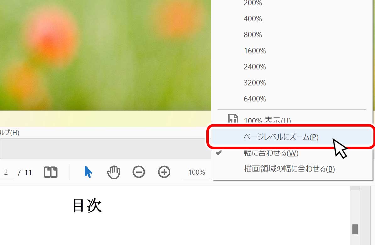 ページレベルにズームを選択