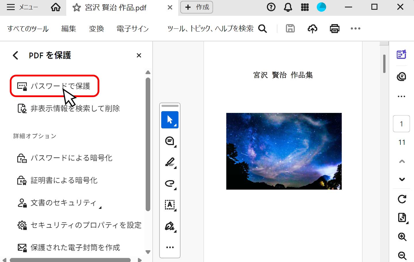 パスワードで保護を選択