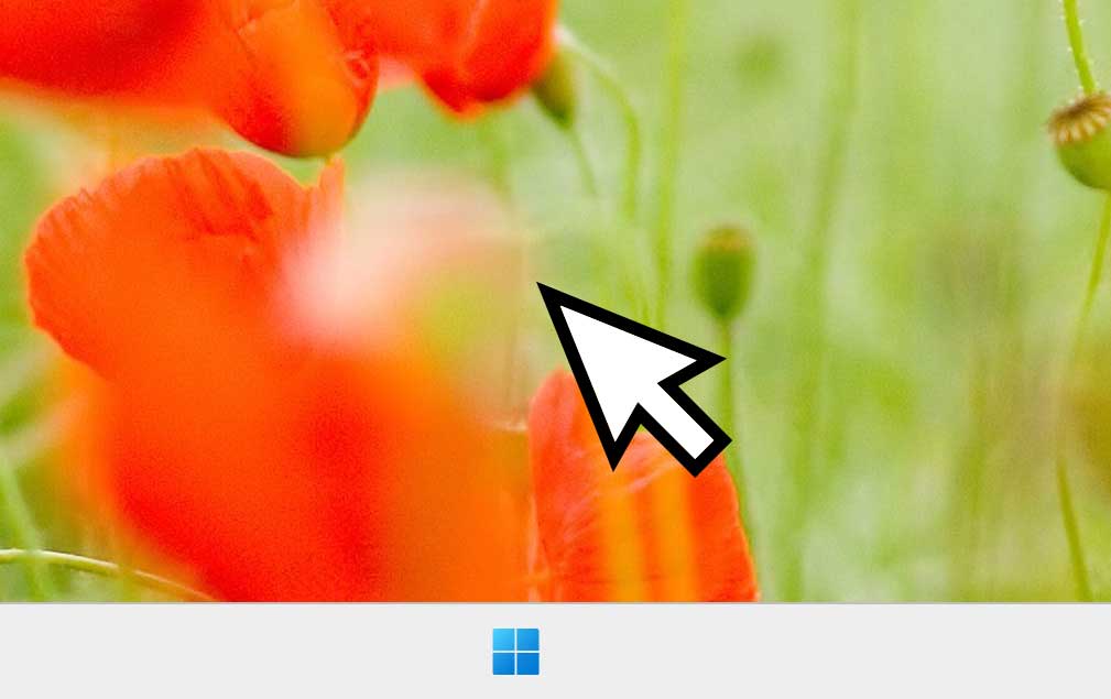 windows11でマウスカーネルのサイズを変更する