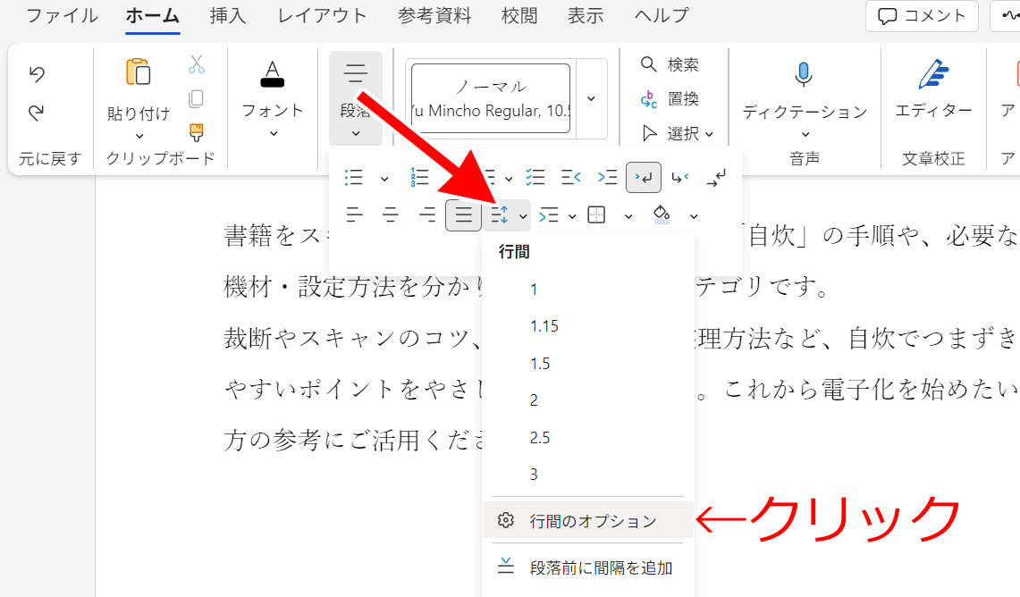 行間のオプション